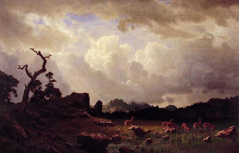 Albert Bierstadt Thunderstorm in the Rocky Mountains Spain oil painting art